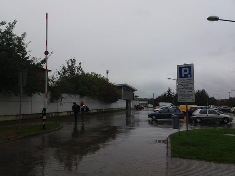 Lidl Rybnik ul. Orzepowicka 29a-7