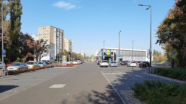 Lidl Poznań ul. Piątkowska 64-4